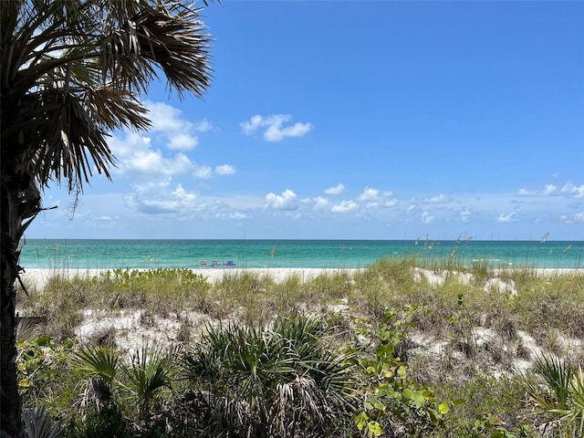 property view of water with a beach view