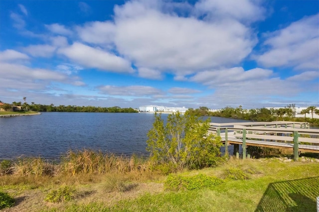 property view of water