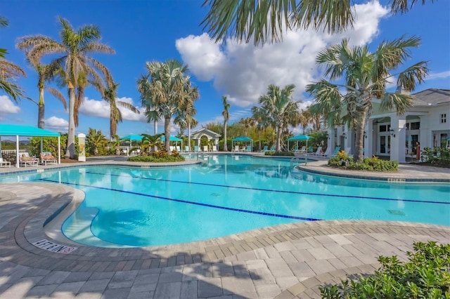 view of swimming pool