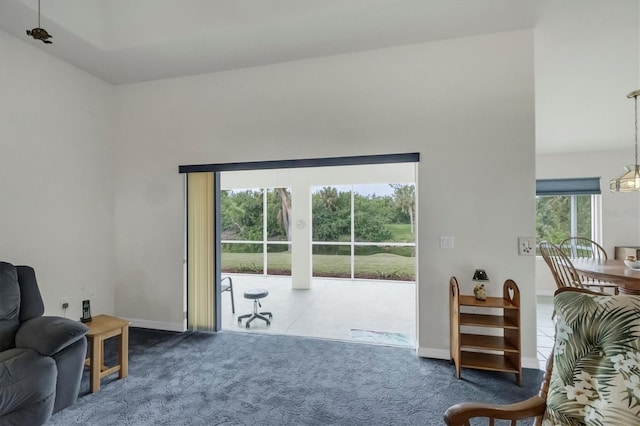 living area featuring carpet floors and a healthy amount of sunlight