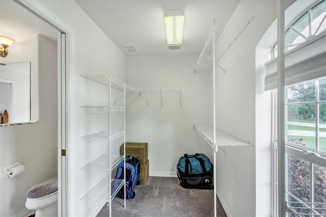 spacious closet with carpet floors