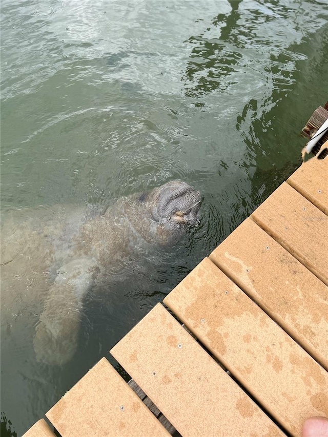 9526 Jolly Roger Trl, Placida, FL 33946 - dock featuring a water view