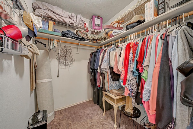 524 Pine Hollow Cir Unit 524, Englewood, FL 34223 - walk in closet featuring carpet floors