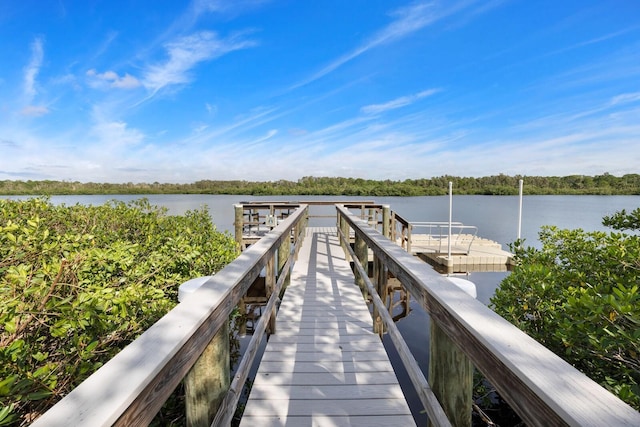 dock area with a water view