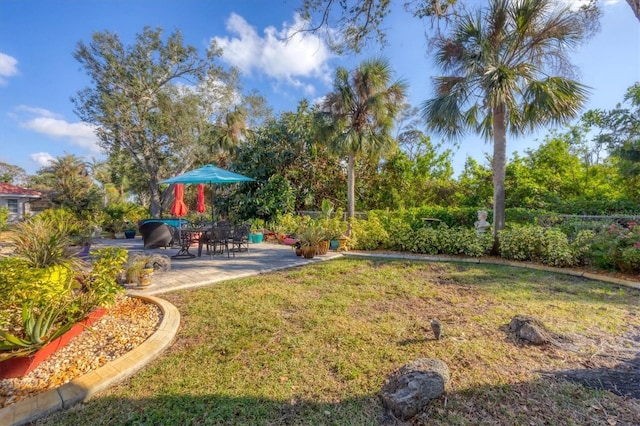 view of yard featuring a patio area