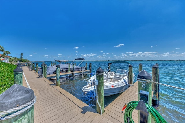 dock area with a water view