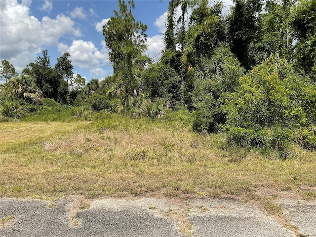 LOT6 Peale Cir, North Port FL, 34288 land for sale