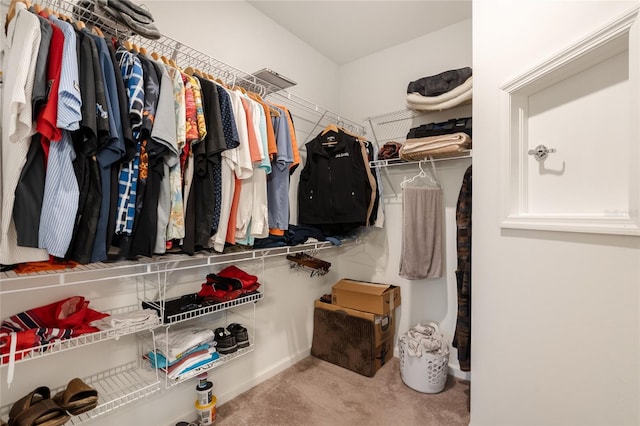 spacious closet with carpet