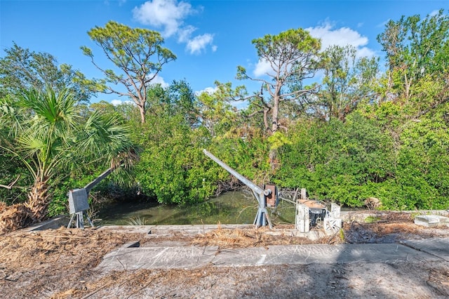 view of yard with a water view