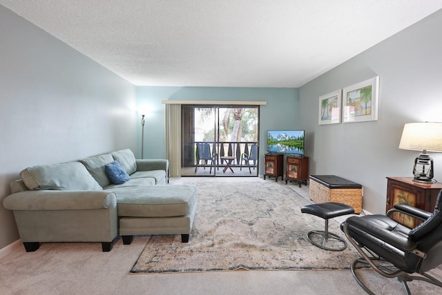 living room featuring a textured ceiling and light colored carpet