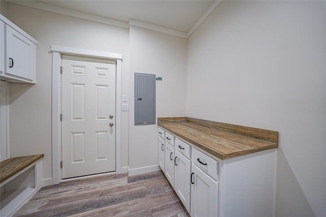 interior space with light wood-type flooring, crown molding, and electric panel