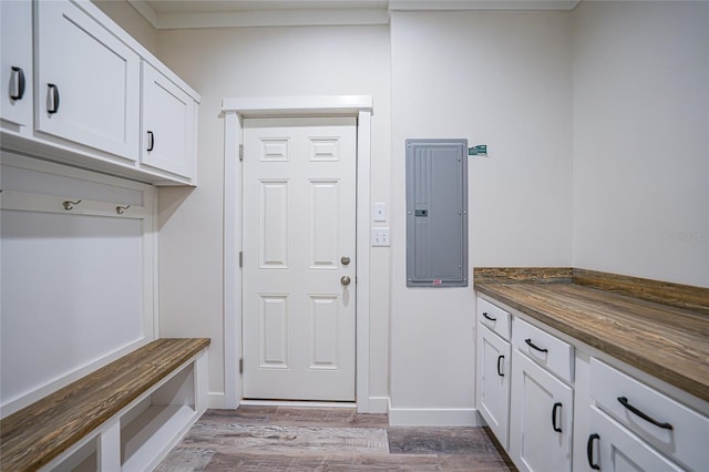 mudroom with electric panel and light hardwood / wood-style flooring