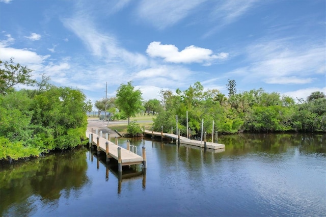 dock area with a water view