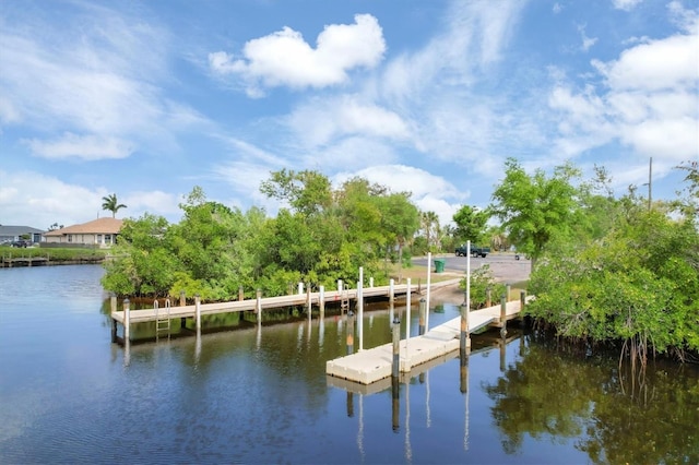 dock area with a water view