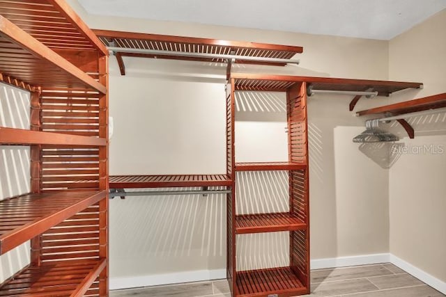 spacious closet with wood-type flooring