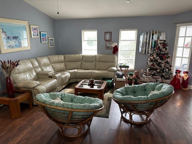 living room featuring dark hardwood / wood-style flooring and lofted ceiling