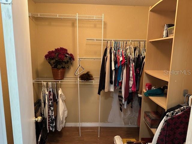 spacious closet with dark hardwood / wood-style flooring