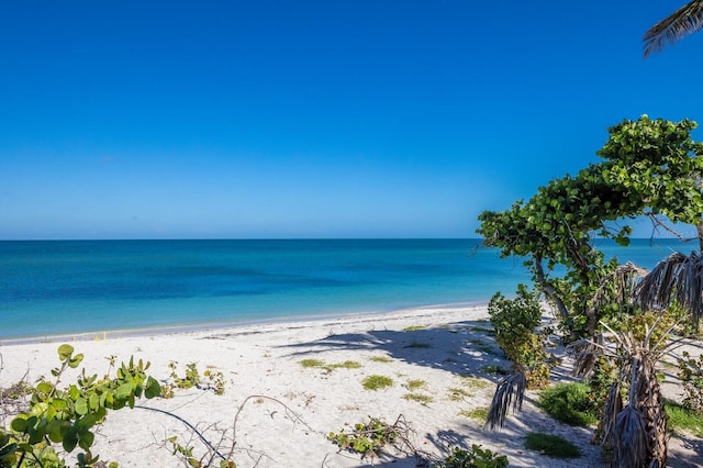 2031 Shore Ln, Boca Grande, FL 33921 - photo 85