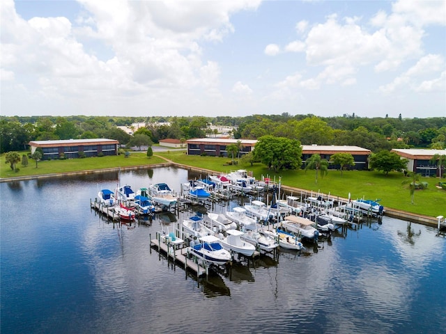 water view featuring a dock