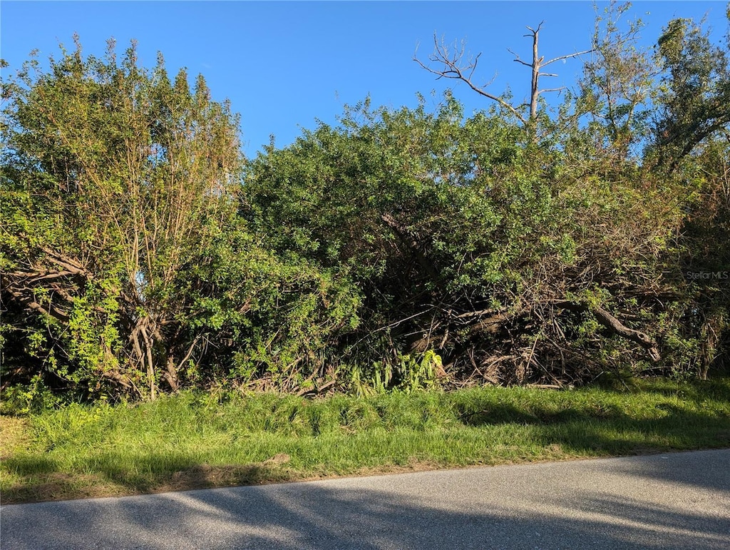 725 Chevy Chase St, Port Charlotte, FL 33948 - photo 1