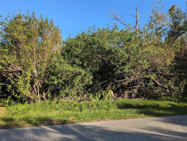 725 Chevy Chase St, Port Charlotte, FL 33948 - photo 1