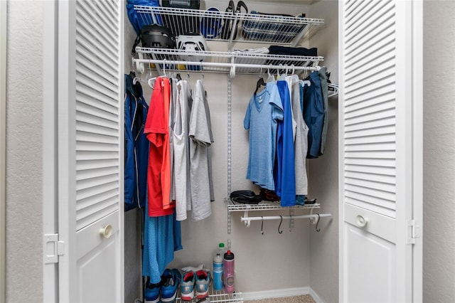 view of closet