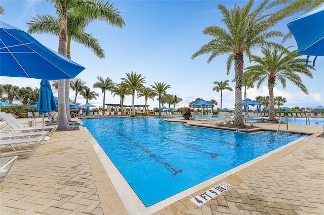 view of swimming pool with a patio area