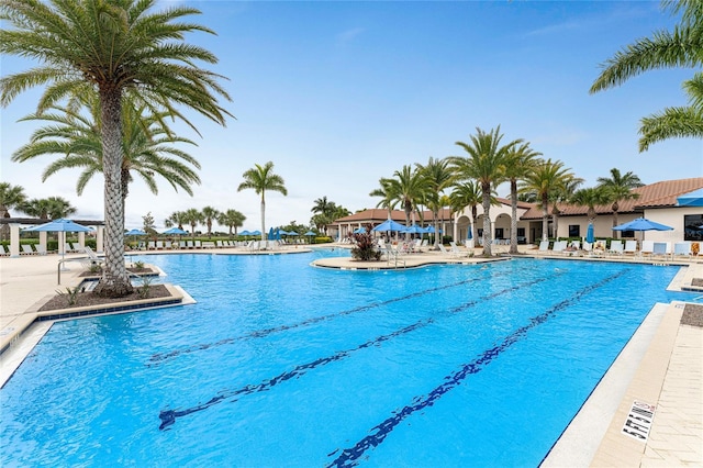 view of swimming pool featuring a patio