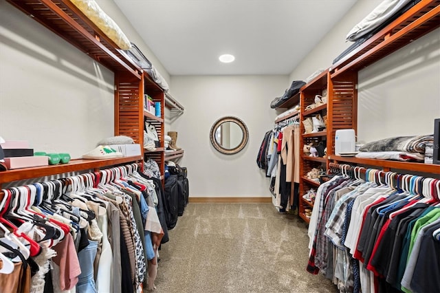 spacious closet featuring carpet floors