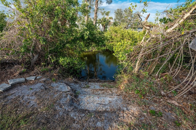 view of nature featuring a water view