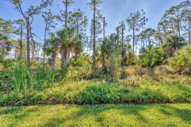 17 Par View Pl, Rotonda West, FL 33947 - photo 42