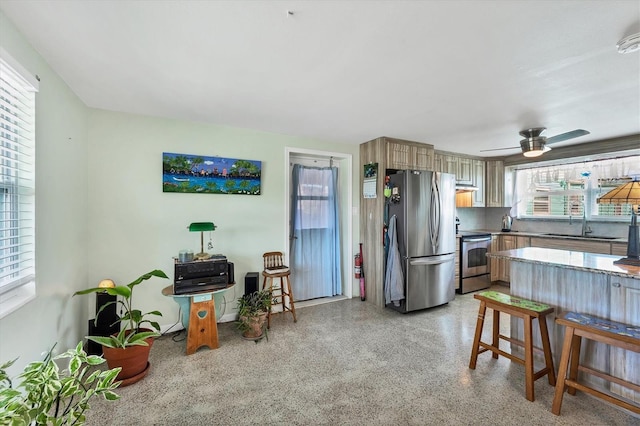 kitchen featuring a wealth of natural light, sink, ceiling fan, and stainless steel appliances