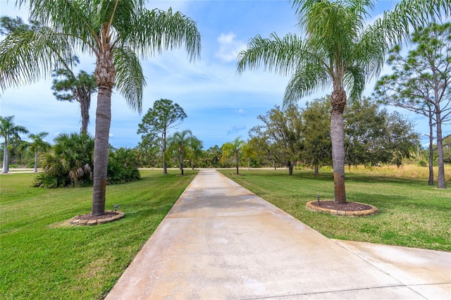 view of home's community with a yard