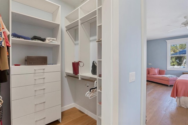 spacious closet with ceiling fan and hardwood / wood-style floors