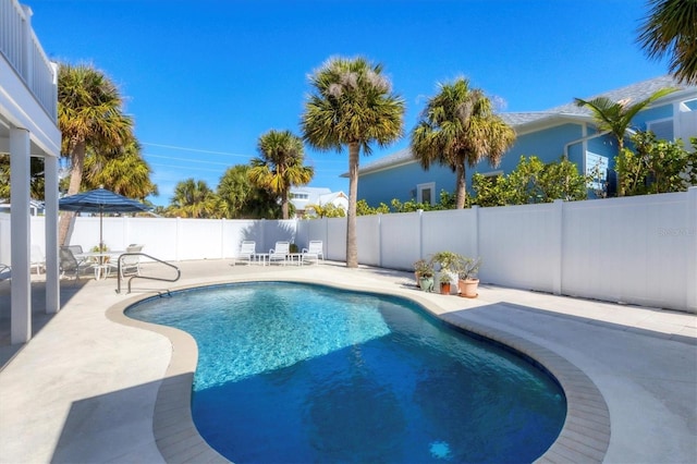 view of swimming pool with a patio