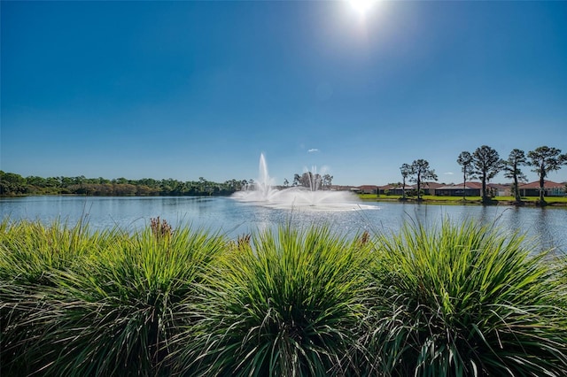 view of water feature