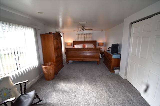 bedroom featuring carpet flooring