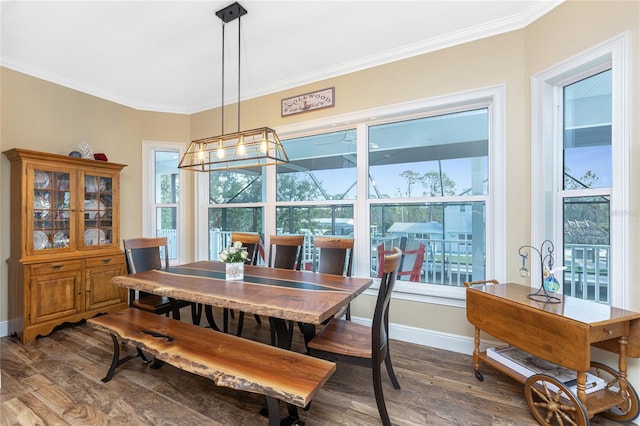 dining room featuring plenty of natural light, dark hardwood / wood-style flooring, and ornamental molding