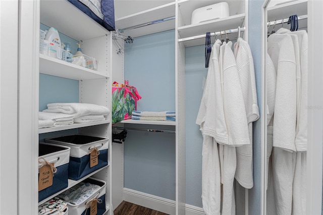 spacious closet featuring dark wood-type flooring