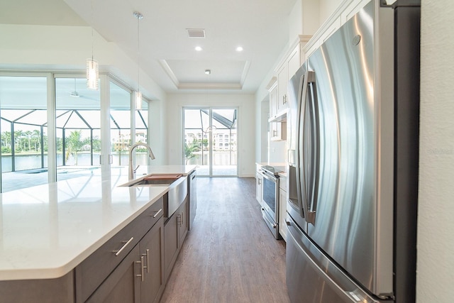 kitchen with a raised ceiling, sink, an island with sink, appliances with stainless steel finishes, and wood-type flooring