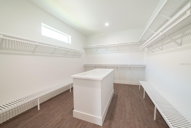 spacious closet featuring dark hardwood / wood-style flooring