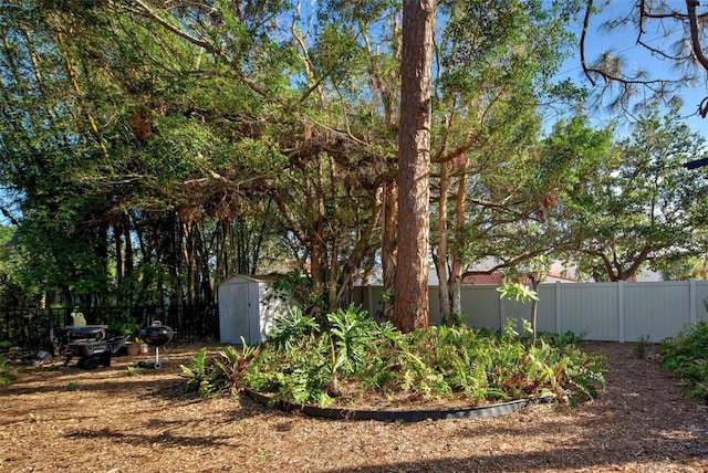 view of yard with a storage shed