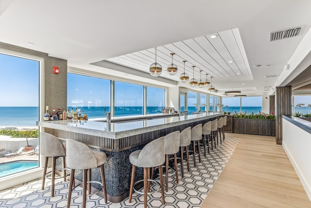 bar featuring plenty of natural light, a tray ceiling, light hardwood / wood-style flooring, and a water view