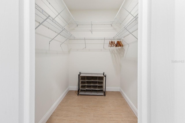 spacious closet featuring wood-type flooring