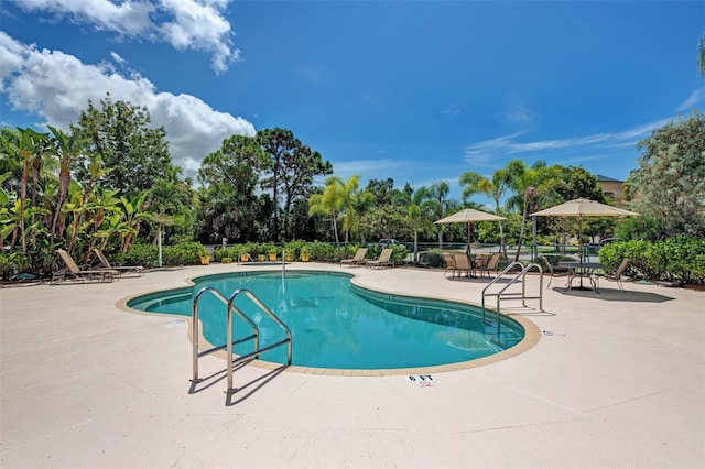 view of swimming pool with a patio