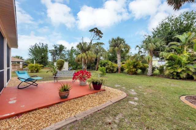 view of yard featuring a patio area