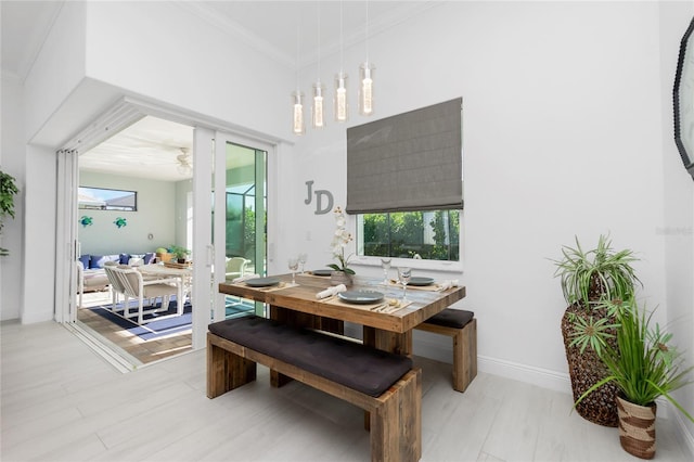 dining room featuring ceiling fan and ornamental molding