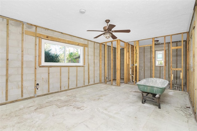 basement featuring ceiling fan