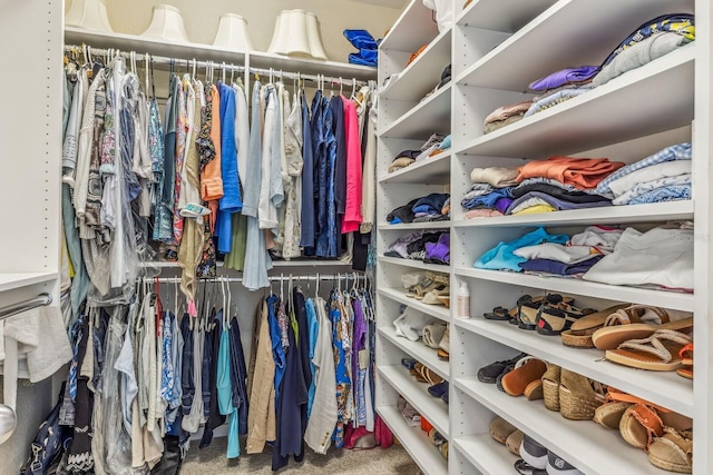 walk in closet with carpet