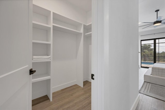 spacious closet featuring ceiling fan and light hardwood / wood-style flooring